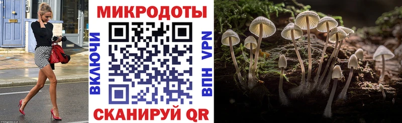 Псилоцибиновые грибы Magic Shrooms  Одинцово 